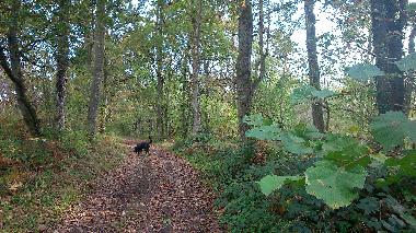 Ferienhaus in la Hoguette (Calvados) oder Ferienwohnung oder Ferienhaus