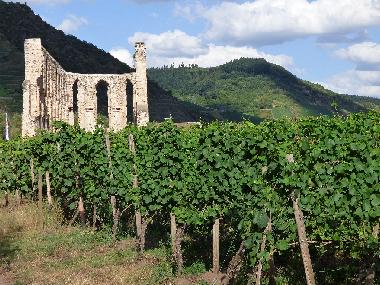 Ferienwohnung in Alf (Mosel - Saar) oder Ferienwohnung oder Ferienhaus
