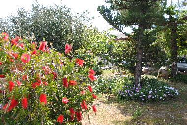 Ferienwohnung in Kalamaki - Kato Galatas (Chania) oder Ferienwohnung oder Ferienhaus