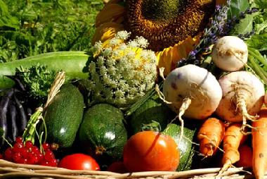 Ferienhaus in El Brakik El Khnafife (Taroudannt) oder Ferienwohnung oder Ferienhaus