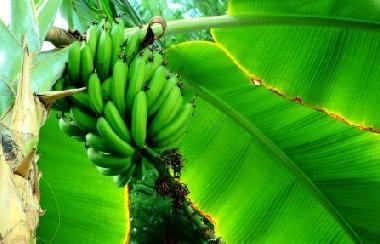 Ferienhaus in El Brakik El Khnafife (Taroudannt) oder Ferienwohnung oder Ferienhaus