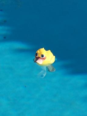 Villa in Lorgues (Var) oder Ferienwohnung oder Ferienhaus