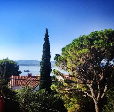 Pension in Bol (Splitsko-Dalmatinska) oder Ferienwohnung oder Ferienhaus