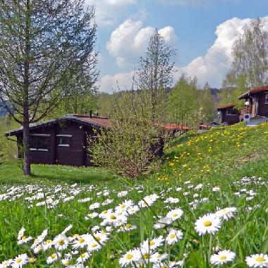 Ferienhausanlage inmitten der Frhlingslandschaft des Thringer Waldes