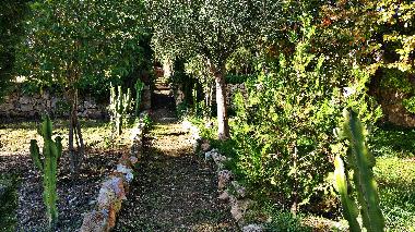 Ferienhaus Villa Cas Padri Jordi in Muro. Mallorca.5
