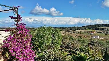 Ferienhaus Villa Cas Padri Jordi in Muro. Mallorca.8