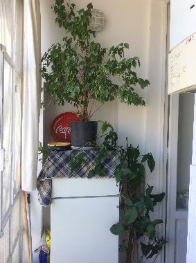 K�hl- und  Gefrierschrank