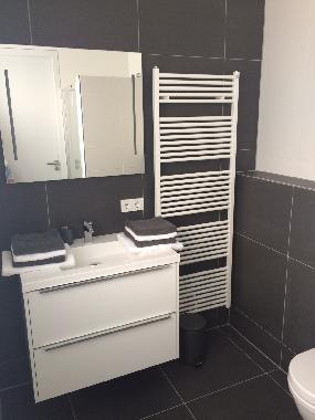 Ferienwohnung in Vrouwenpolder (Zeeland) oder Ferienwohnung oder Ferienhaus