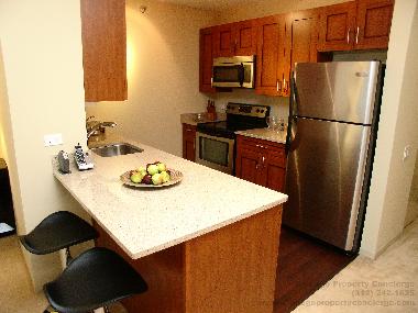 Ferienwohnung in Chicago (Illinois) oder Ferienwohnung oder Ferienhaus