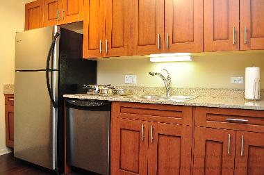 Ferienwohnung in Chicago (Illinois) oder Ferienwohnung oder Ferienhaus