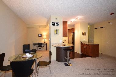 Ferienwohnung in Chicago (Illinois) oder Ferienwohnung oder Ferienhaus