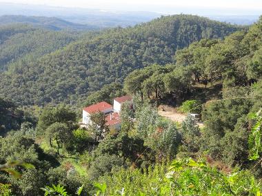 Ferienhaus in Monchique (Algarve) oder Ferienwohnung oder Ferienhaus