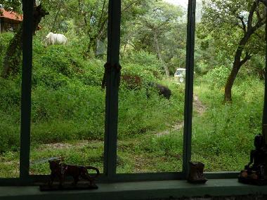 Ferienhaus in Tepoztl�n (Morelos) oder Ferienwohnung oder Ferienhaus