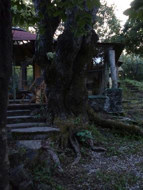 Ferienhaus in Tepoztl�n (Morelos) oder Ferienwohnung oder Ferienhaus