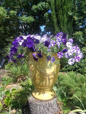 Topf aus Anduze. Im Sommer viele Blumen bei uns.