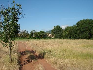 Neben das Haus nur Natur und Weinfelder.