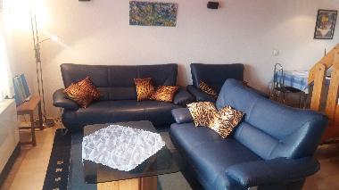 Wohnzimmer: NEU: gemtlicher Kaminofen, Flachbildfernseher, 6 sitz. Ledercouch, Leselampe, Bcher, S