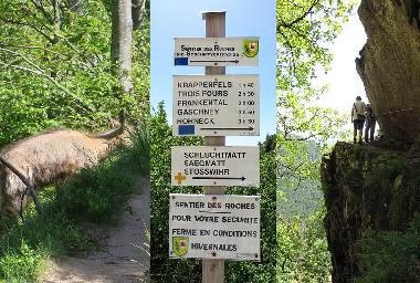 Ferienhaus in Soultzeren (Haut-Rhin) oder Ferienwohnung oder Ferienhaus