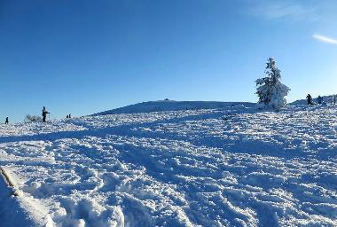 Ferienhaus in Soultzeren (Haut-Rhin) oder Ferienwohnung oder Ferienhaus