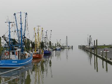 Krabbenkutter im Hafen