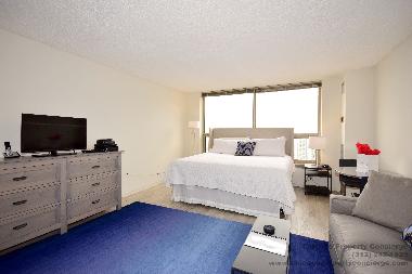 Ferienwohnung in Chicago (Illinois) oder Ferienwohnung oder Ferienhaus