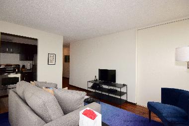 Ferienwohnung in Chicago (Illinois) oder Ferienwohnung oder Ferienhaus