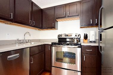 Ferienwohnung in Chicago (Illinois) oder Ferienwohnung oder Ferienhaus