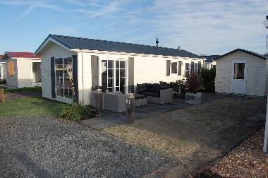 Chalet in Zoutelande (Zeeland) oder Ferienwohnung oder Ferienhaus