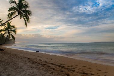 Villa in LAS TERRENAS (Samana) oder Ferienwohnung oder Ferienhaus