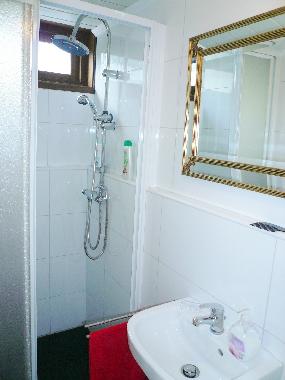 Ferienhaus in Renesse (Zeeland) oder Ferienwohnung oder Ferienhaus