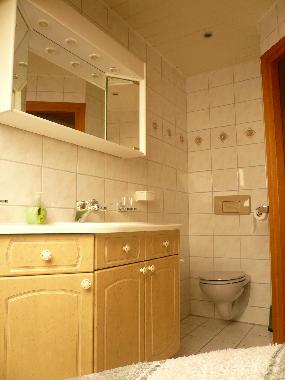 Ferienhaus in Renesse (Zeeland) oder Ferienwohnung oder Ferienhaus