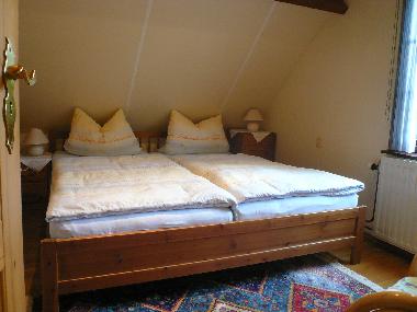 Ferienhaus in Renesse (Zeeland) oder Ferienwohnung oder Ferienhaus