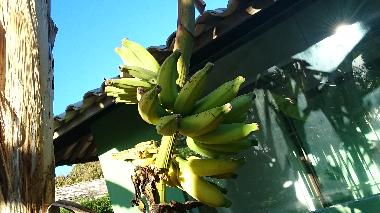 Ferienhaus in itacimirim (Bahia) oder Ferienwohnung oder Ferienhaus