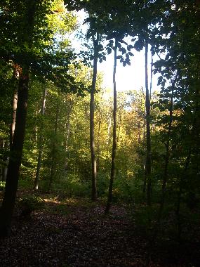 Ferienwohnung in Luebben (Dahme-Spreewald) oder Ferienwohnung oder Ferienhaus