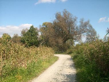 Ferienwohnung in Luebben (Dahme-Spreewald) oder Ferienwohnung oder Ferienhaus