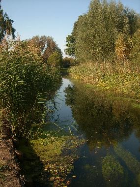 Ferienwohnung in Luebben (Dahme-Spreewald) oder Ferienwohnung oder Ferienhaus