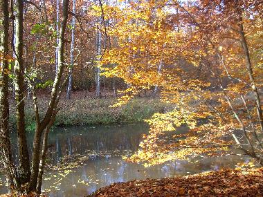 Ferienwohnung in Luebben (Dahme-Spreewald) oder Ferienwohnung oder Ferienhaus