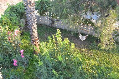 View to the garden from the balcony
