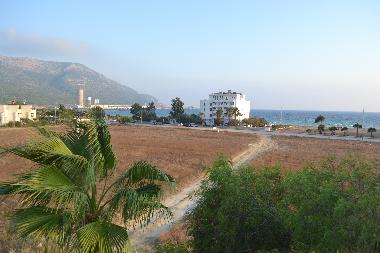 View from the roof of the house