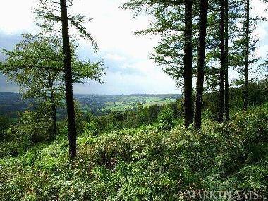 Ferienwohnung in Gemmenich (Wallonien) oder Ferienwohnung oder Ferienhaus
