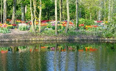 Tulpenfest im Frhling