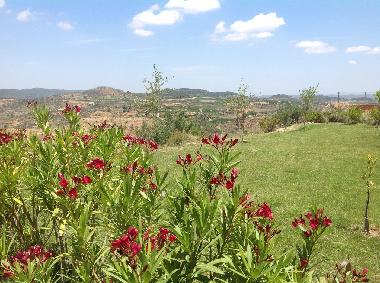 Villa in Turis (Valencia / Val�ncia) oder Ferienwohnung oder Ferienhaus