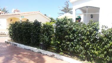 Chalet in maspalomas (Gran Canaria) oder Ferienwohnung oder Ferienhaus