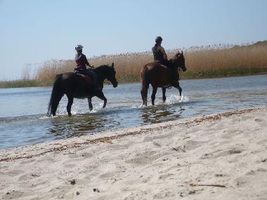 Ferienhaus in Kamminke (Ostsee-Inseln) oder Ferienwohnung oder Ferienhaus