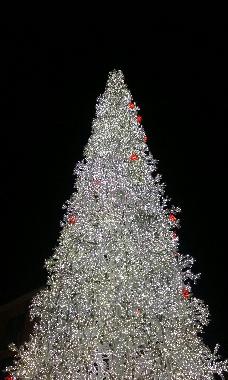 Ferienwohnung in salerno (Salerno) oder Ferienwohnung oder Ferienhaus