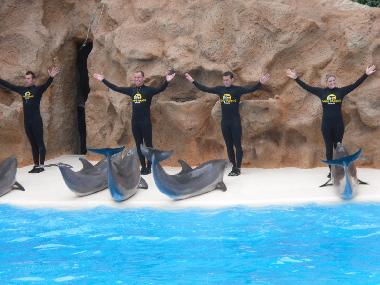 Ferienwohnung in ADEJE (Teneriffa) oder Ferienwohnung oder Ferienhaus