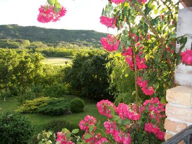 Ferienhaus in Roc (Istarska) oder Ferienwohnung oder Ferienhaus