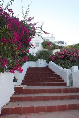 Ferienhaus in Nerja (Mlaga) oder Ferienwohnung oder Ferienhaus