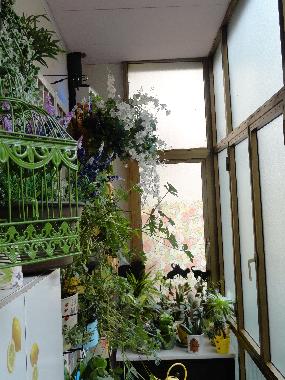 Ferienwohnung in Napoli (Napoli) oder Ferienwohnung oder Ferienhaus