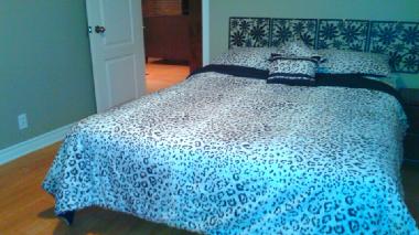 Chalet in Ste-Lucie des laurentides (Quebec) oder Ferienwohnung oder Ferienhaus